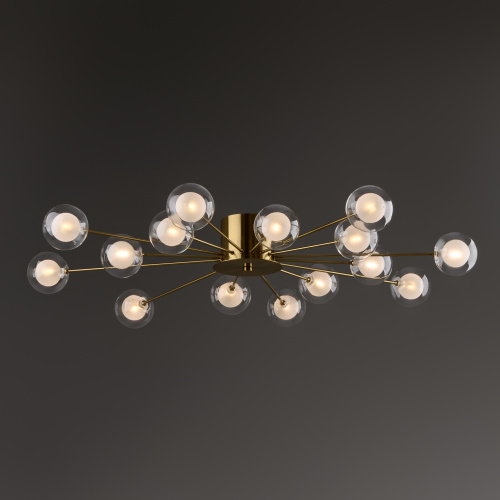 Потолочный светильник Freya FR5242CL-16BS1 фото 9